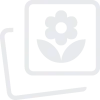 Print & Endpoint Security